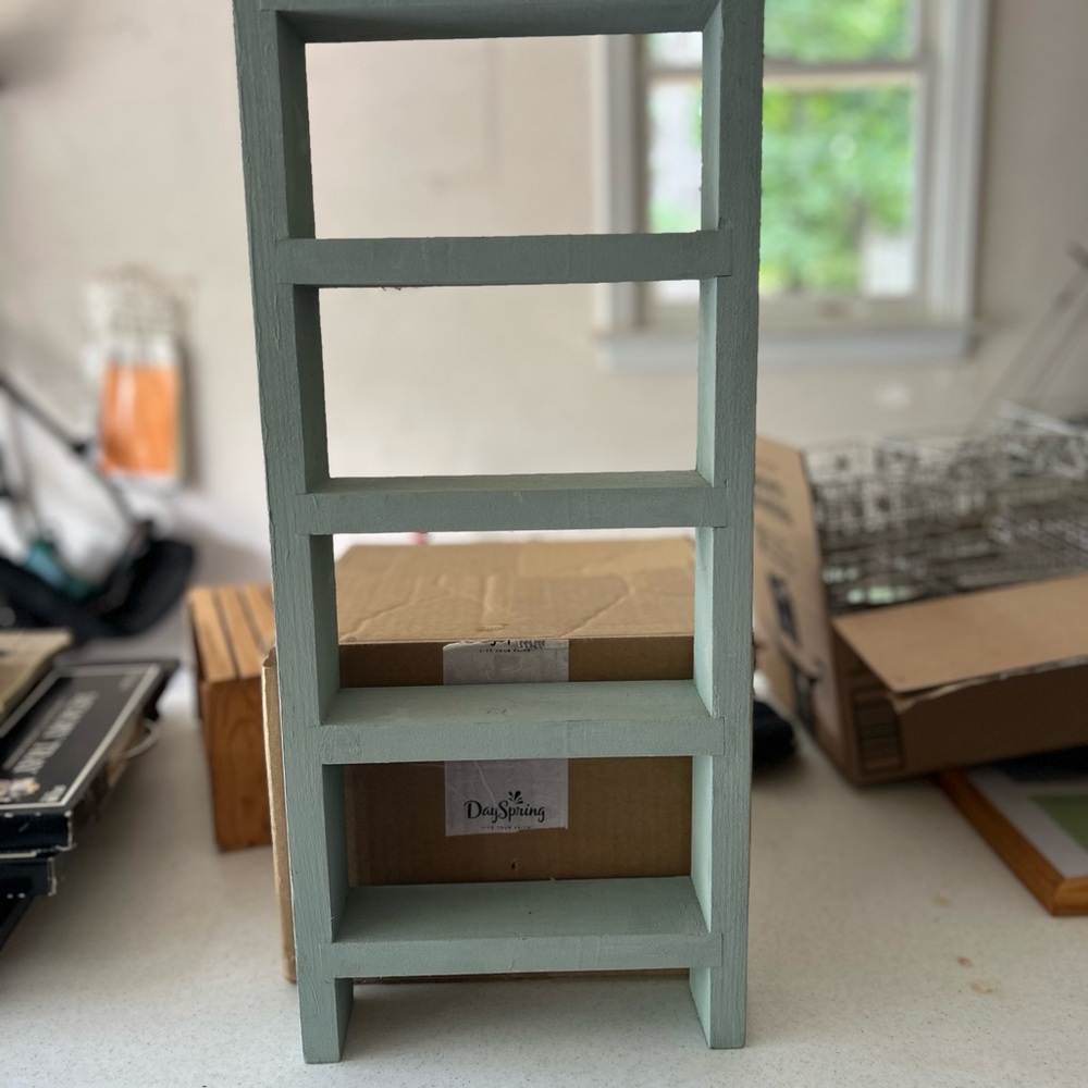 DaySpring Light Green Wooden Shelf